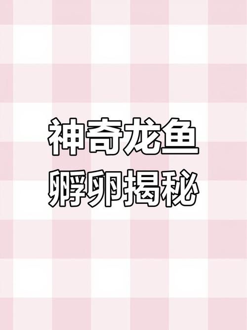 龍魚的卵是什么樣子的圖片 龍魚的卵是什么樣子的圖片 龍魚百科 第45張