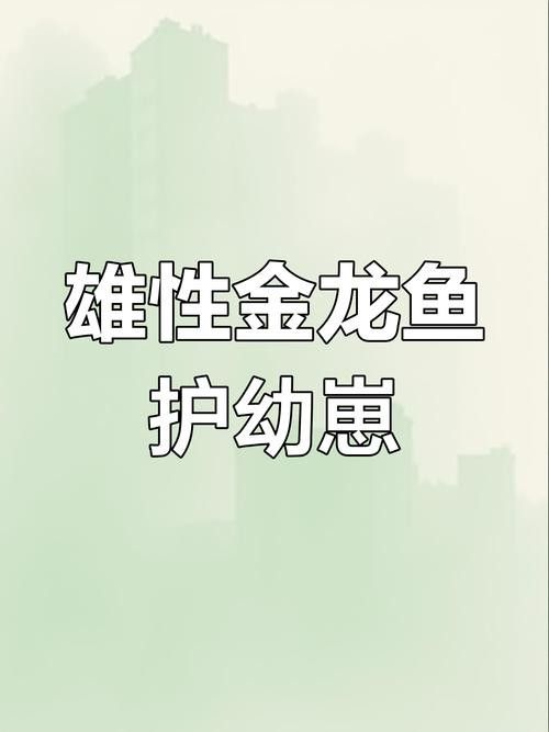 龍魚的卵是什么樣子的圖片 龍魚的卵是什么樣子的圖片 龍魚百科 第47張