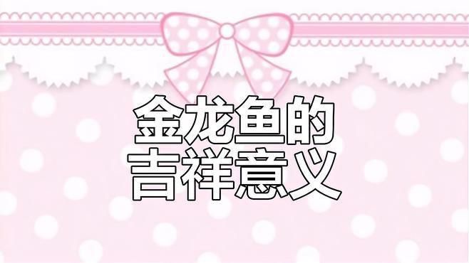 金龍魚俗稱什么魚