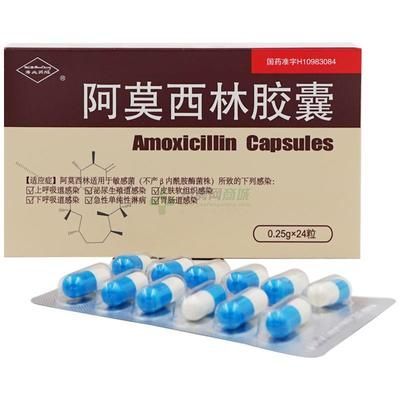 阿莫西林給龍魚治療什么