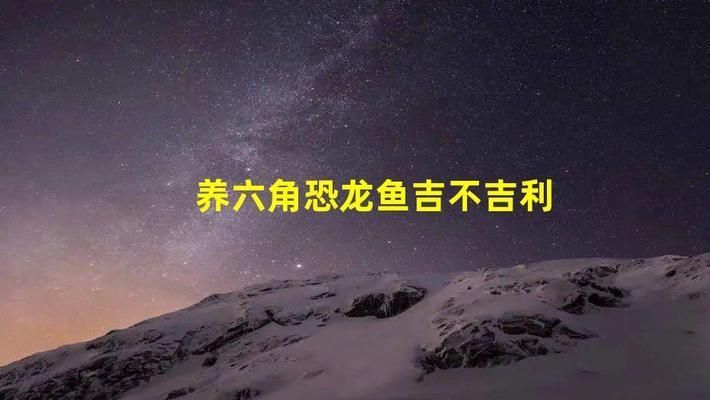 六角恐龍魚對(duì)風(fēng)水有好處嗎圖片：六角恐龍魚在風(fēng)水學(xué)中的應(yīng)用與好處