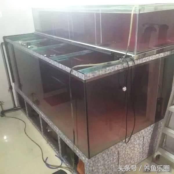 龍魚做手術的箱子要消毒嗎視頻講解:龍魚手術箱消毒方法和注意事項 龍魚百科 第3張 龍魚做手術的箱子要消毒嗎視頻講解:龍魚手術箱消毒方法和注意事項 龍魚做手術的箱子要消毒嗎視頻講解:龍魚手術箱消毒方法和注意事項 龍魚百科 第3張