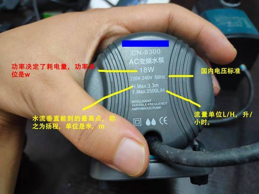魚缸過濾泵功率選擇，如何維護魚缸過濾泵品牌推薦