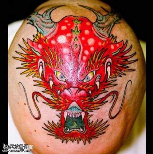 能推薦一些紅龍紋身手稿嗎？ 能推薦一些紅龍紋身手稿嗎？ 龍魚百科 第26張