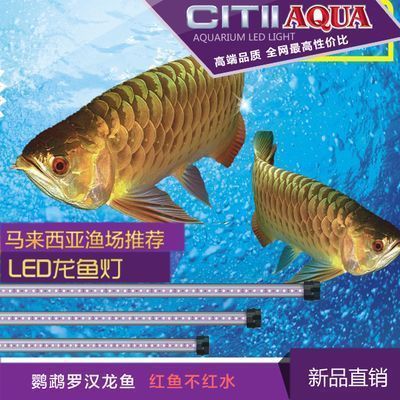 格美龍魚缸燈（如何維護格美龍魚缸燈的發色效果）