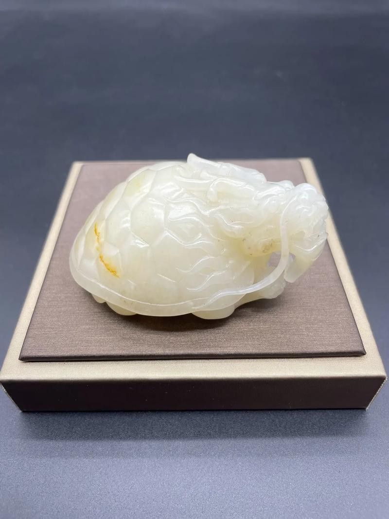龍龜手把件有哪些材質(zhì)選擇？ 龍龜手把件有哪些材質(zhì)選擇？ 龍魚百科 第11張