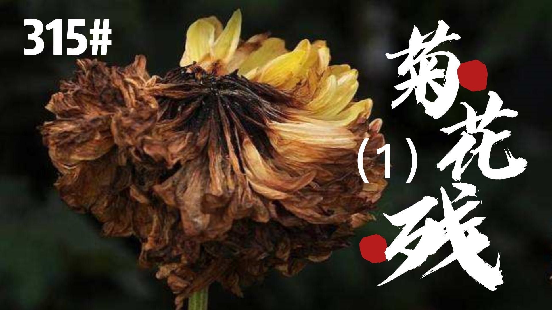 龍魚脫肛后多久會自愈？