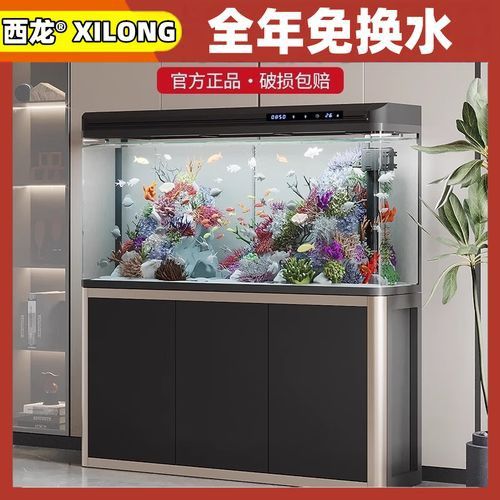 西龍龍魚缸