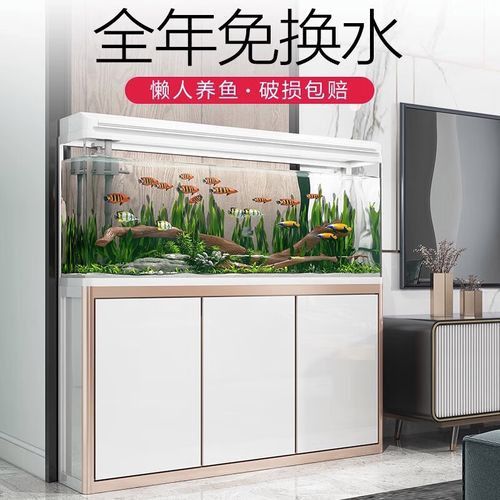 西龍龍魚缸