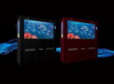 龍魚缸需要什么設備好：養龍魚需要一套完整的設備來確保水質、氧氣供應等方面的適宜