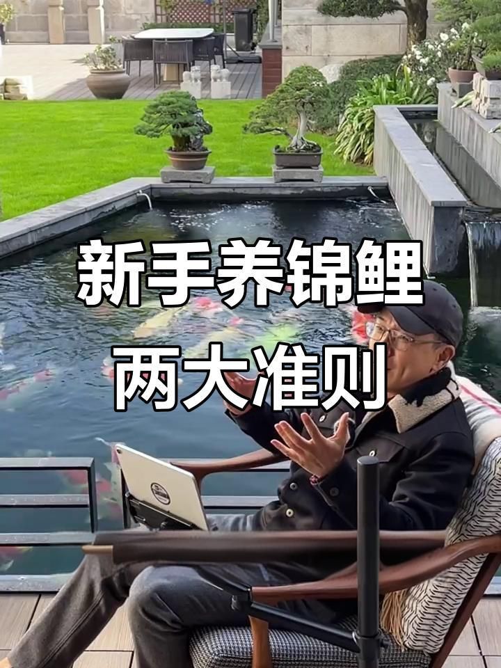 如何判斷一種魚(yú)是否好養(yǎng)？ 如何判斷一種魚(yú)是否好養(yǎng)？ 龍魚(yú)百科 第2張