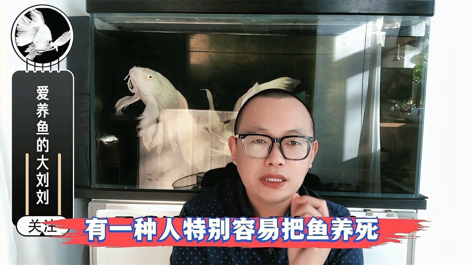 如何判斷一種魚(yú)是否好養(yǎng)？ 如何判斷一種魚(yú)是否好養(yǎng)？ 龍魚(yú)百科 第4張