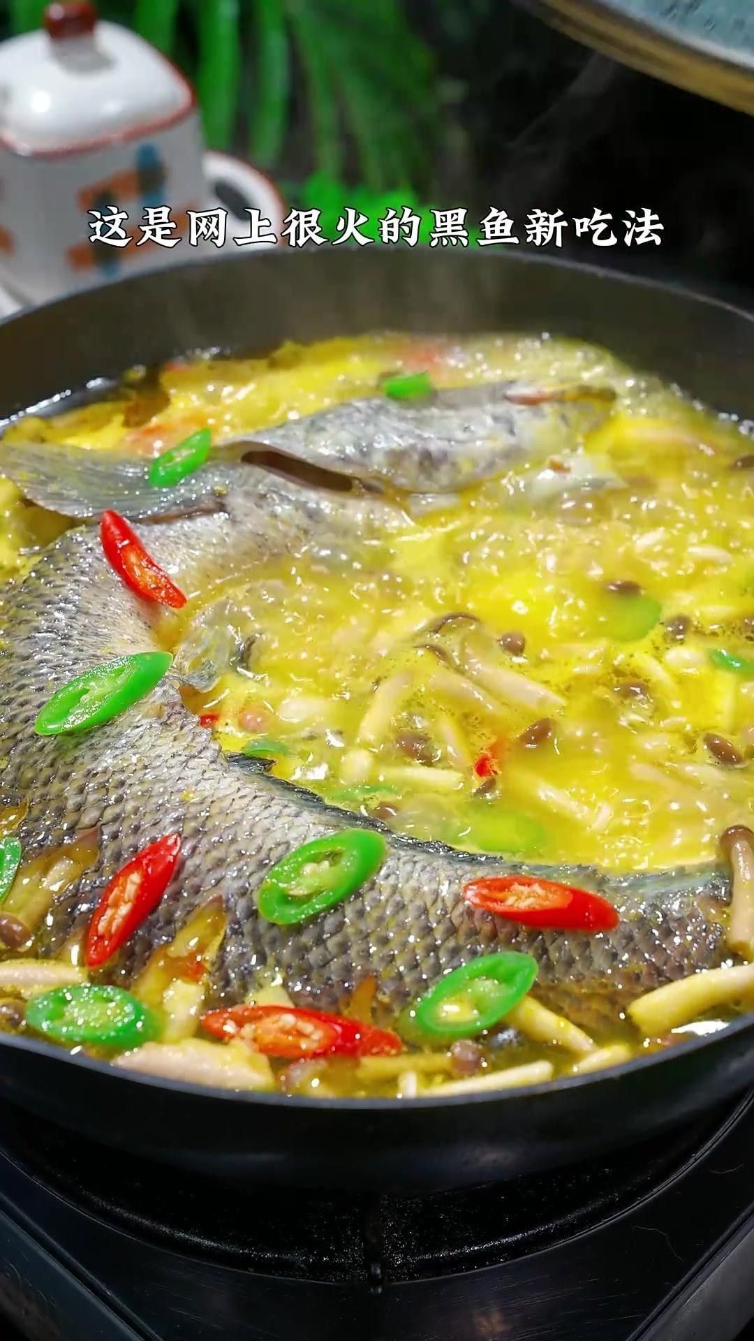 如何區(qū)分黑魚和鱸魚？ 如何區(qū)分黑魚和鱸魚？ 龍魚百科 第4張