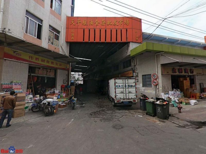 廣州龍魚批發市場哪家好