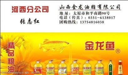 金龍魚名片設計圖：金龍魚名片設計圖、金龍魚名片設計圖的相關信息介紹