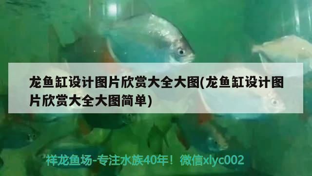 龍魚缸設計圖紙圖片（如何選擇龍魚缸背景顏色）