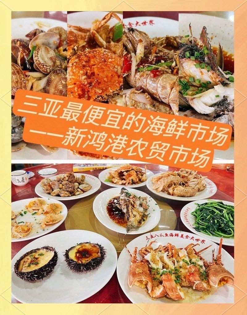 三亞龍魚批發市場地址查詢在哪里
