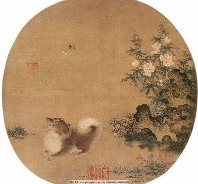古典金龍魚用什么背景畫（養金龍用什么背景好）