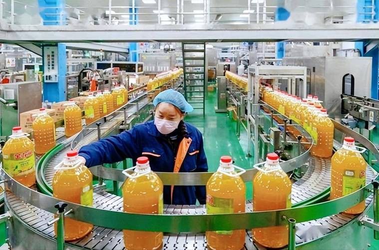 福建金龍魚公司簡介圖片 福建金龍魚公司簡介圖片 龍魚百科 第7張