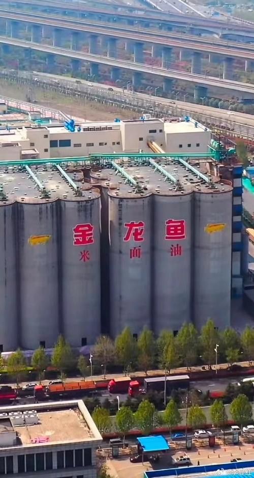 福建金龍魚公司簡介圖片 福建金龍魚公司簡介圖片 龍魚百科 第9張