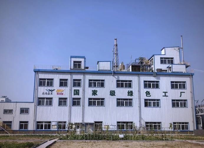 福建金龍魚公司簡介圖片 福建金龍魚公司簡介圖片 龍魚百科 第19張