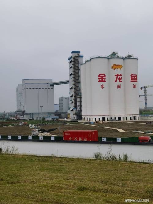 福建金龍魚公司簡介圖片 福建金龍魚公司簡介圖片 龍魚百科 第35張