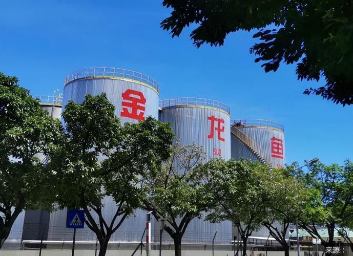 福建金龍魚公司簡介圖片 福建金龍魚公司簡介圖片 龍魚百科 第38張
