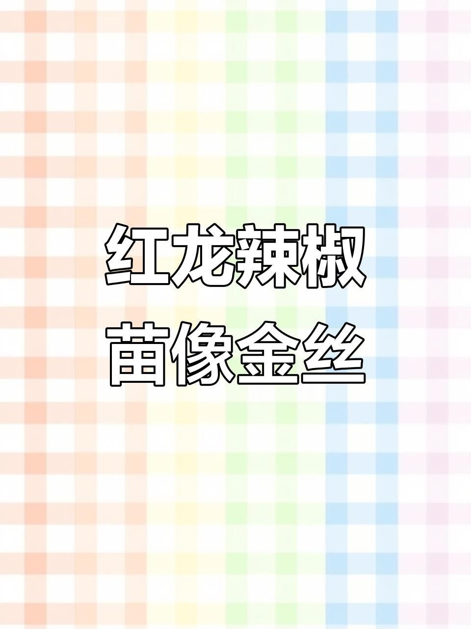 辣椒紅龍魚苗的價(jià)格為何如此高 辣椒紅龍魚苗的價(jià)格為何如此高 龍魚百科 第3張