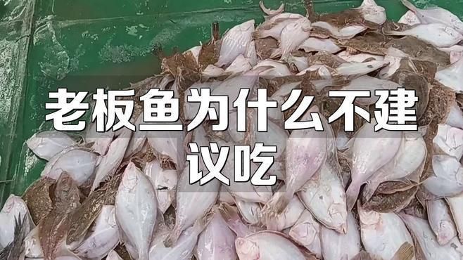老板魚是什么魚
