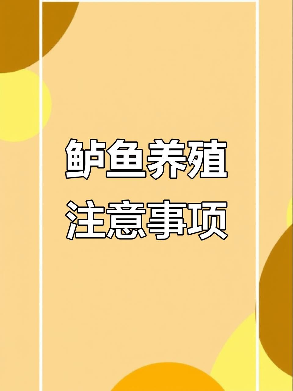 如何預防龍魚應激？ 如何預防龍魚應激？ 龍魚百科 第2張