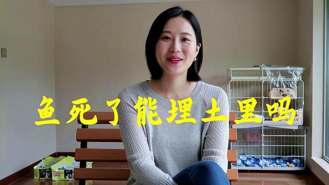 龍魚死亡后如何安葬？