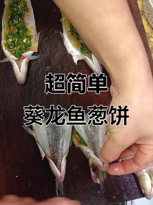 葵龍魚是什么魚圖片 葵龍魚是什么魚圖片 龍魚百科 第11張