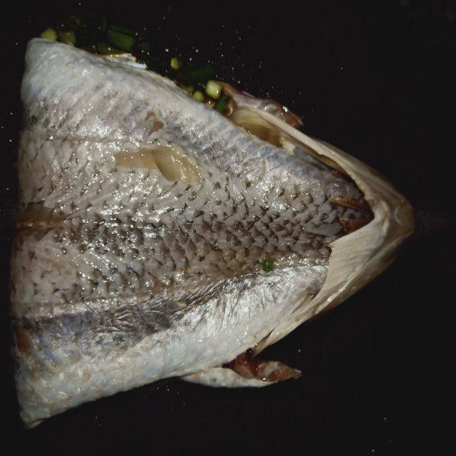 葵龍魚是什么魚圖片 葵龍魚是什么魚圖片 龍魚百科 第15張