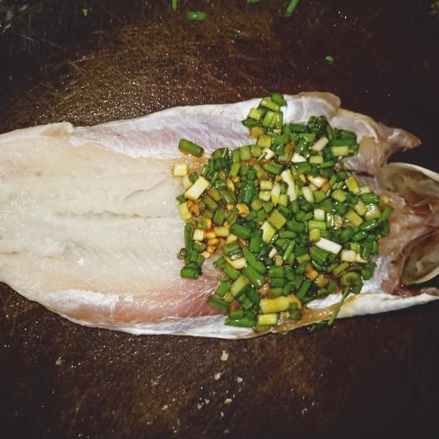 葵龍魚是什么魚圖片 葵龍魚是什么魚圖片 龍魚百科 第19張