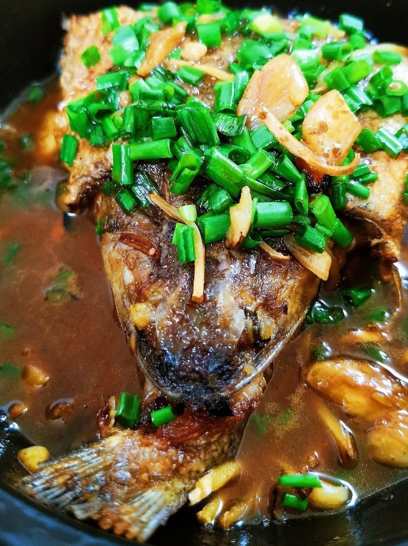 葵龍魚是什么魚圖片 葵龍魚是什么魚圖片 龍魚百科 第22張