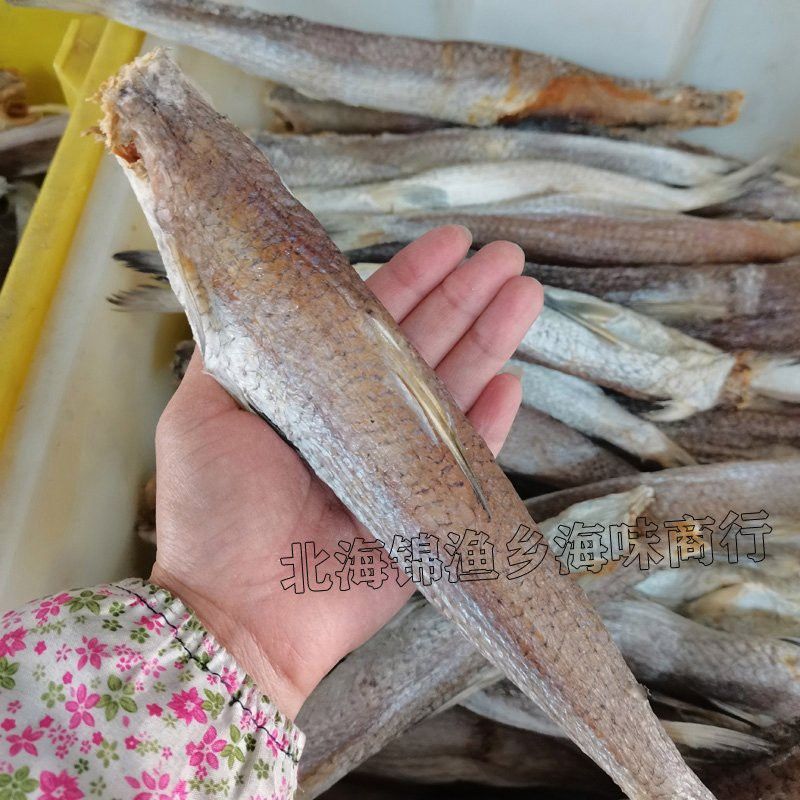 葵龍魚是什么魚圖片 葵龍魚是什么魚圖片 龍魚百科 第24張