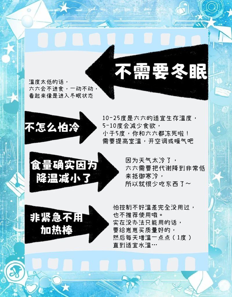 六角龍魚冬天溫度五六度