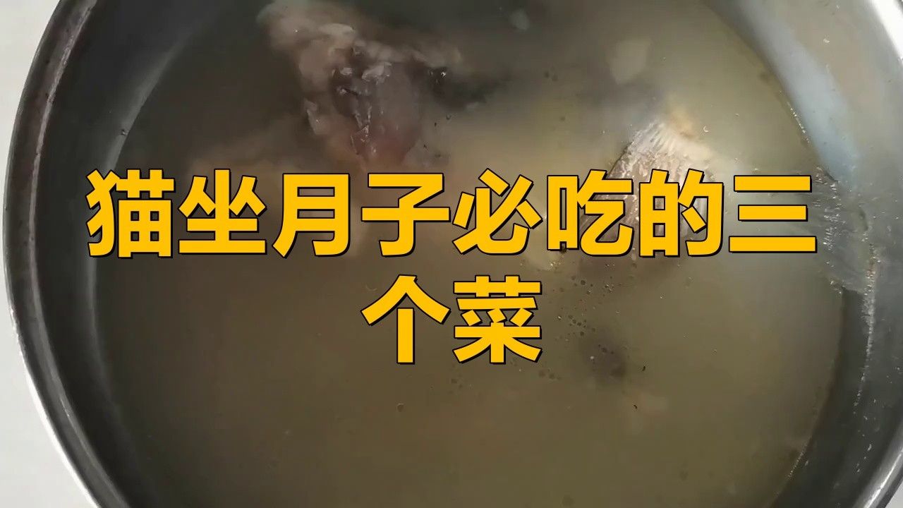 龍貓繁殖后如何照顧母貓？ 龍貓繁殖后如何照顧母貓？ 龍魚百科 第5張