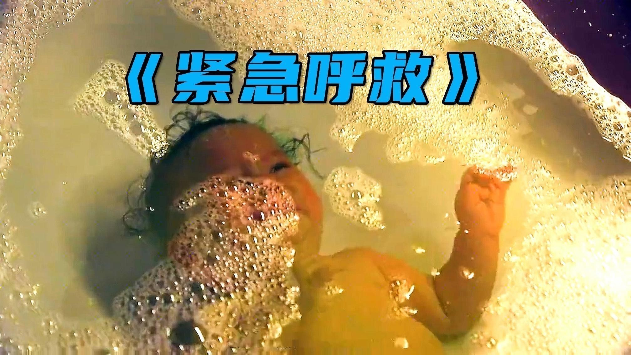 龍貓繁殖后如何照顧母貓？ 龍貓繁殖后如何照顧母貓？ 龍魚百科 第8張