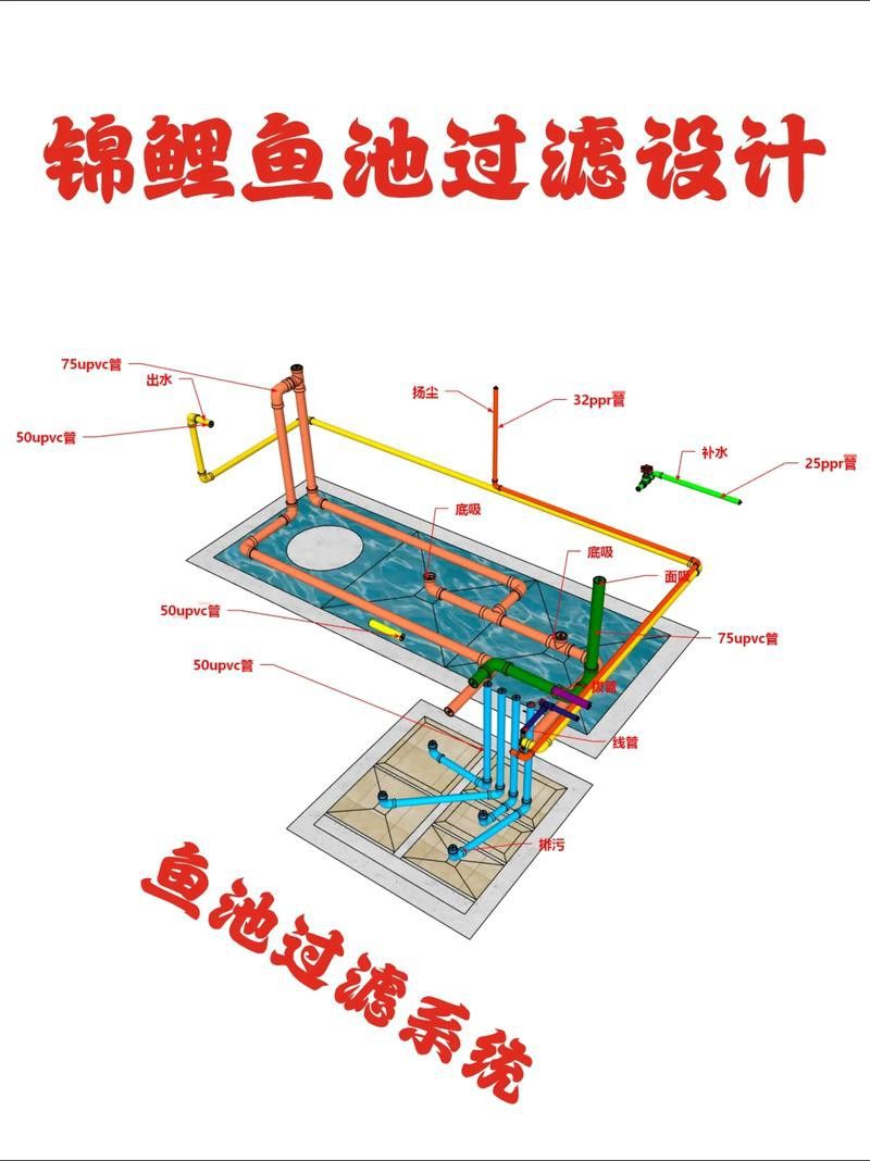 雙龍混養(yǎng)需要多大的過(guò)濾器？ 雙龍混養(yǎng)需要多大的過(guò)濾器？ 龍魚百科 第3張