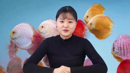 如何判斷魚是否饑餓？ 如何判斷魚是否饑餓？ 龍魚百科 第4張