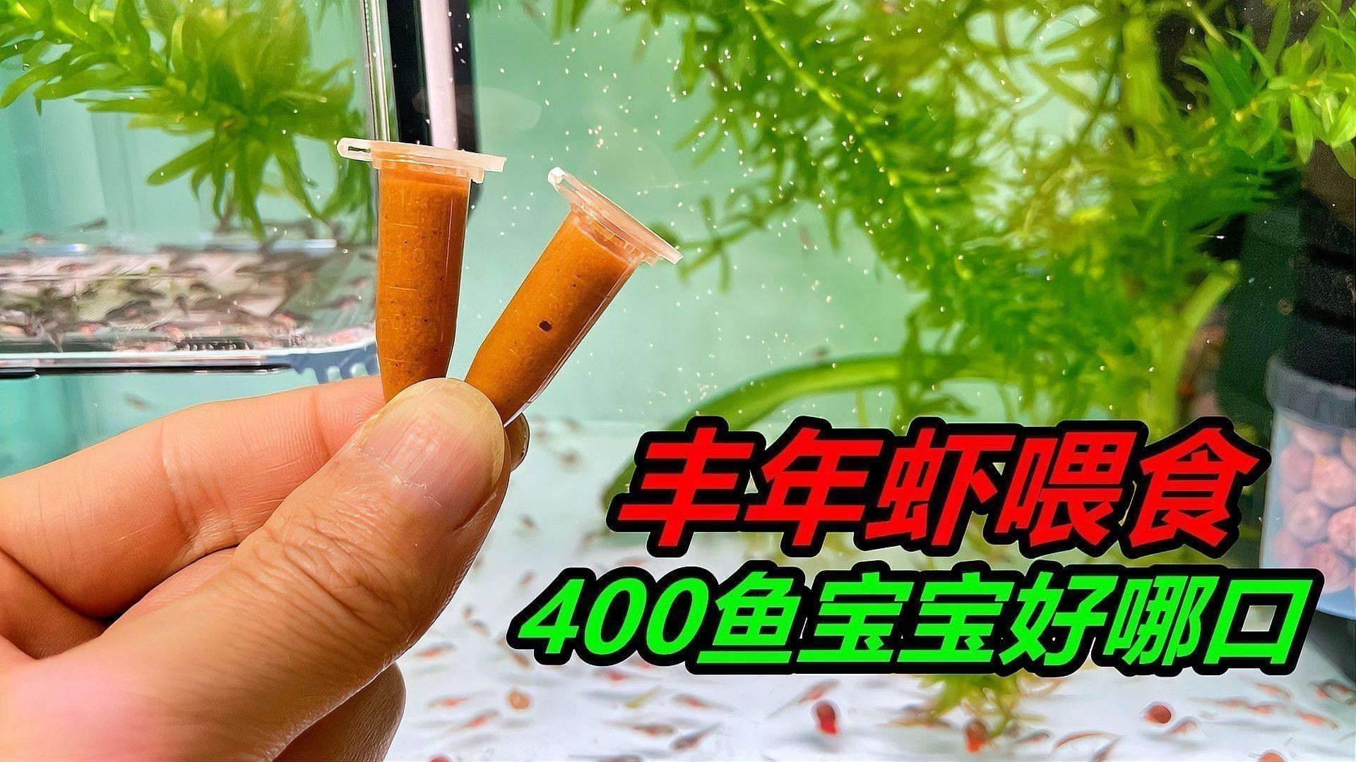 恐龍魚不吃飼料怎么回事兒