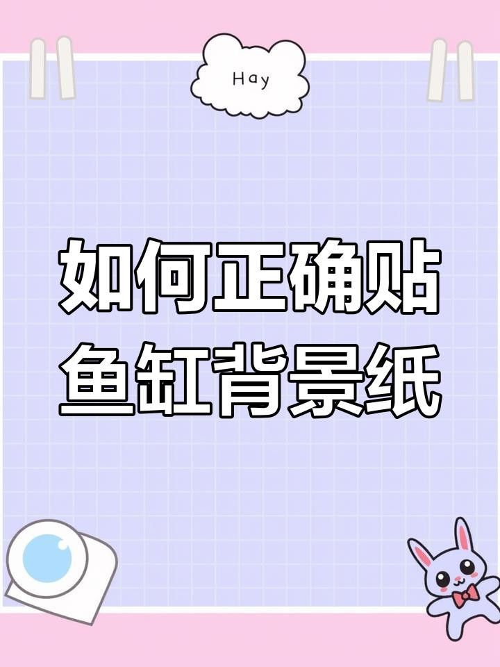 如何安裝龍魚(yú)缸壁紙？