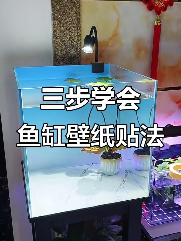 如何安裝龍魚(yú)缸壁紙？