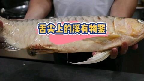 紅龍魚怎么吃（紅龍魚吃什么最好紅龍魚吃什么最好紅龍魚飼養(yǎng)方法全攻略）