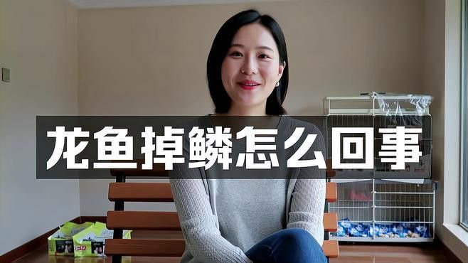 金龍魚背部鱗片掉了
