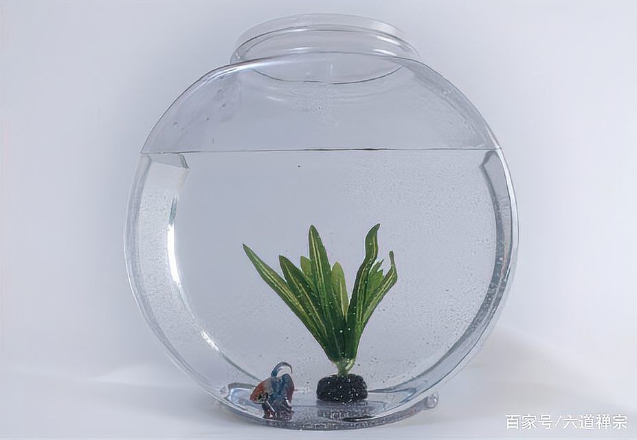 進(jìn)門口左手邊放魚缸好嗎