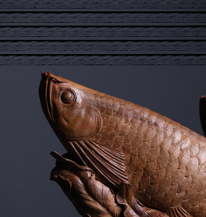 如何鑒定木雕金龍魚的材質？ 如何鑒定木雕金龍魚的材質？ 龍魚百科 第2張