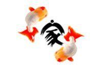 金魚論壇網 金魚論壇網 龍魚百科
