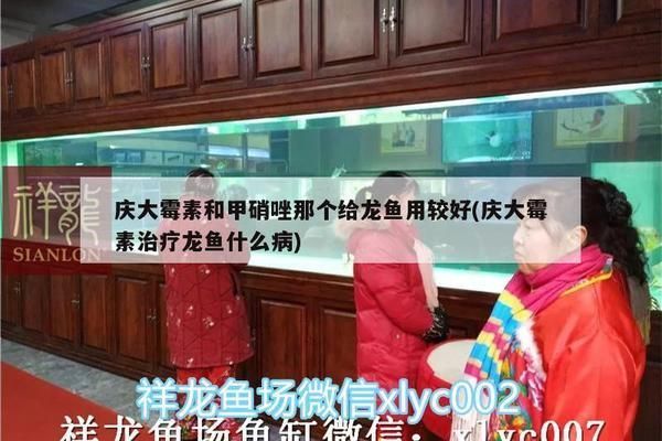 甲硝唑治龍魚什么病：甲硝唑治療龍魚什么病